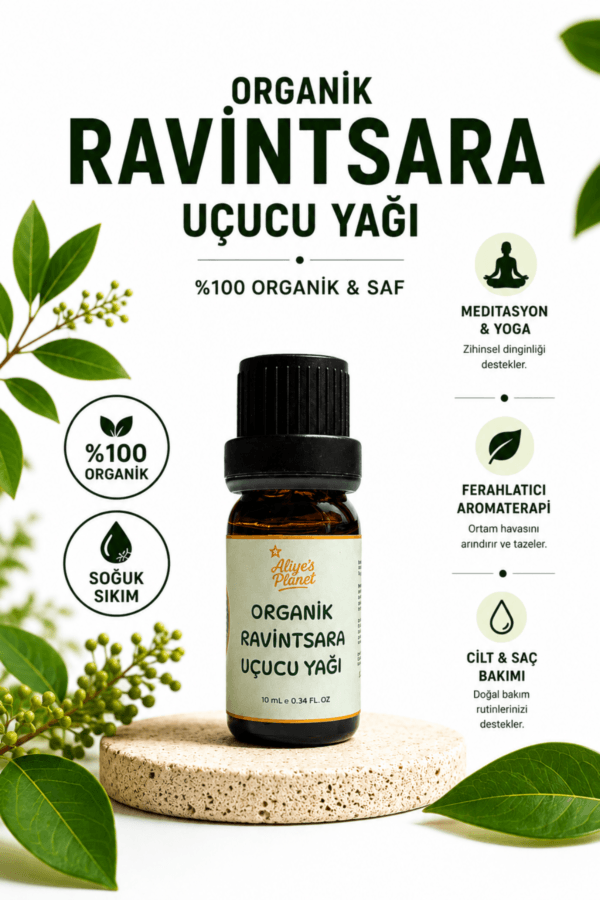 %100 Organik Ravintsara Yağı – Cilt & Saç Bakımı - Yoga, Meditasyon & Aromaterapi - Görsel 2